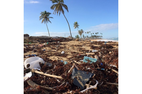 Plastic waste on beach.
